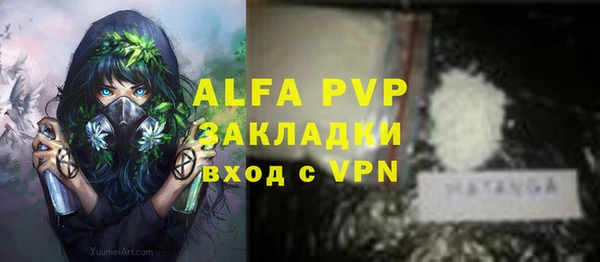 ПСИЛОЦИБИНОВЫЕ ГРИБЫ Новозыбков