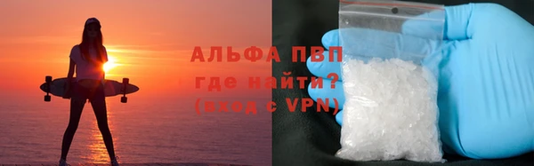 ПСИЛОЦИБИНОВЫЕ ГРИБЫ Новозыбков