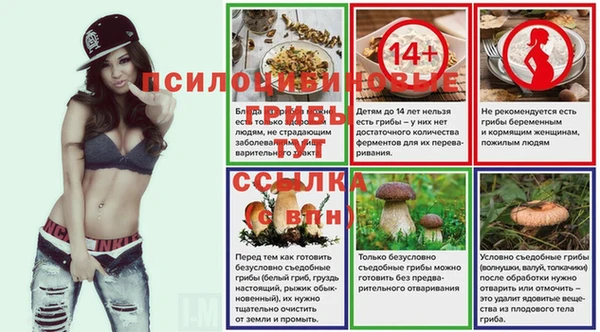 соль ск Нефтегорск
