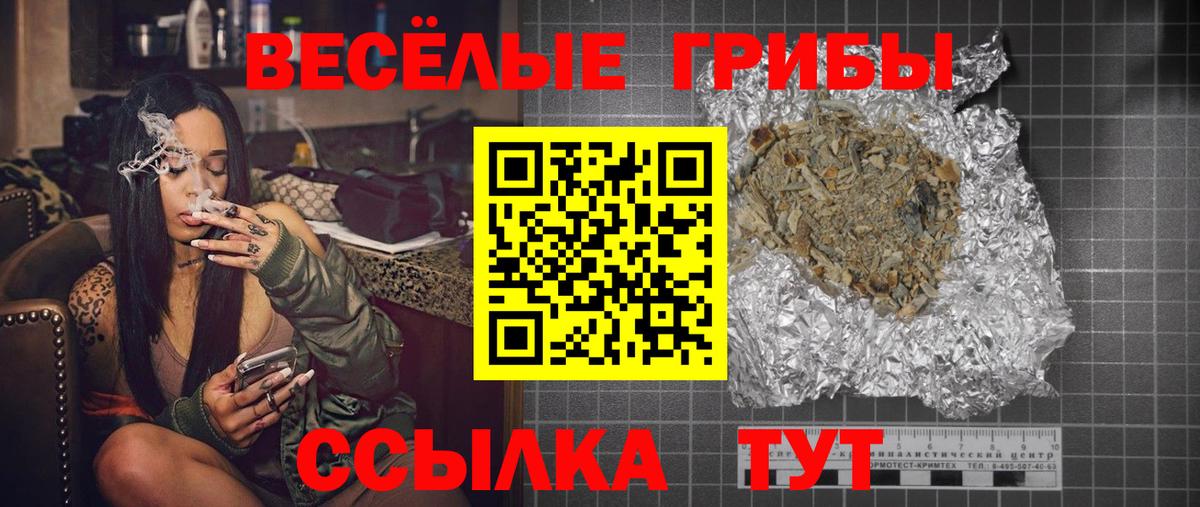 Галлюциногенные грибы Psilocybine cubensis  Киров 
