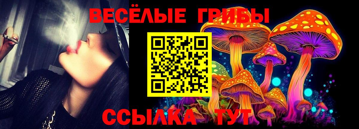 Галлюциногенные грибы Cubensis Киров